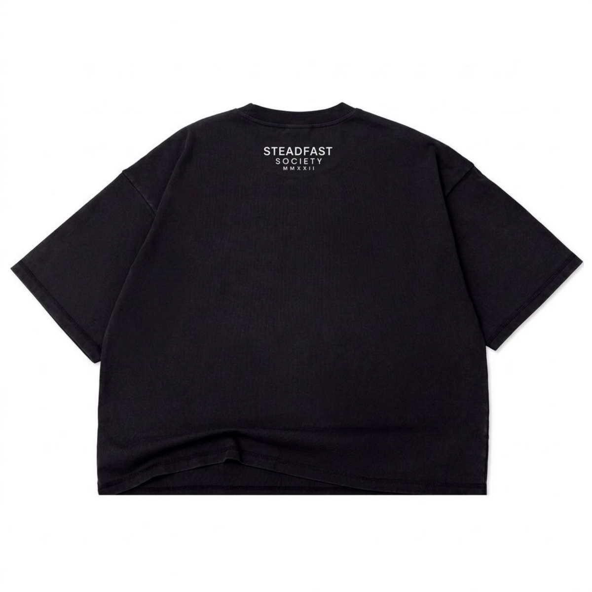 Be Ye Steadfast // Box Crop Tee